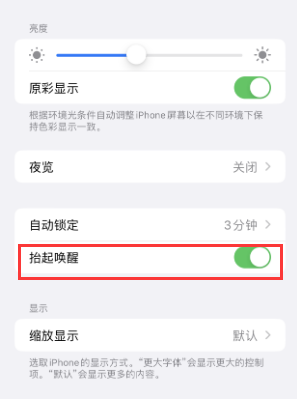 湖州苹果授权维修站分享iPhone轻点无法唤醒怎么办