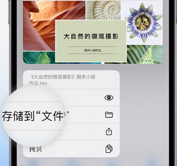 湖州apple维修中心分享iPhone文件应用中存储和找到下载文件