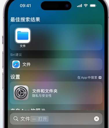 湖州apple维修中心分享iPhone文件应用中存储和找到下载文件 