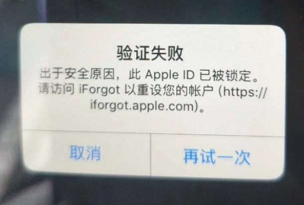 湖州iPhone维修分享iPhone上正常登录或使用AppleID怎么办 