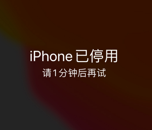 湖州苹果手机维修分享:iPhone 显示“不可用”或“已停用”怎么办？还能保留数据吗？ 