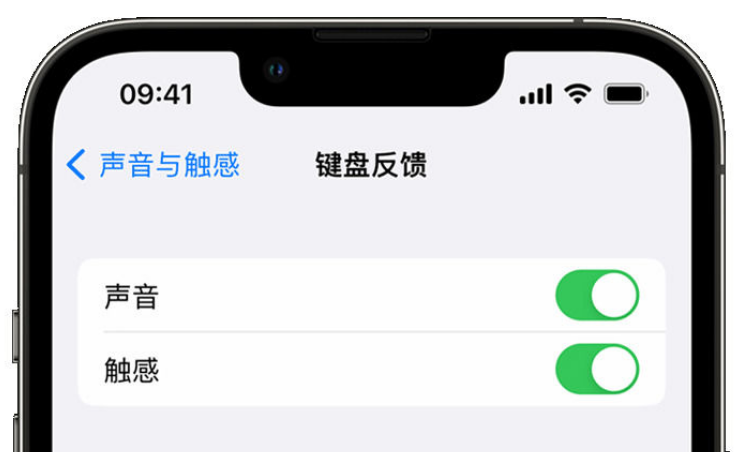 湖州苹果手机维修分享iPhone 14触感键盘使用方法 