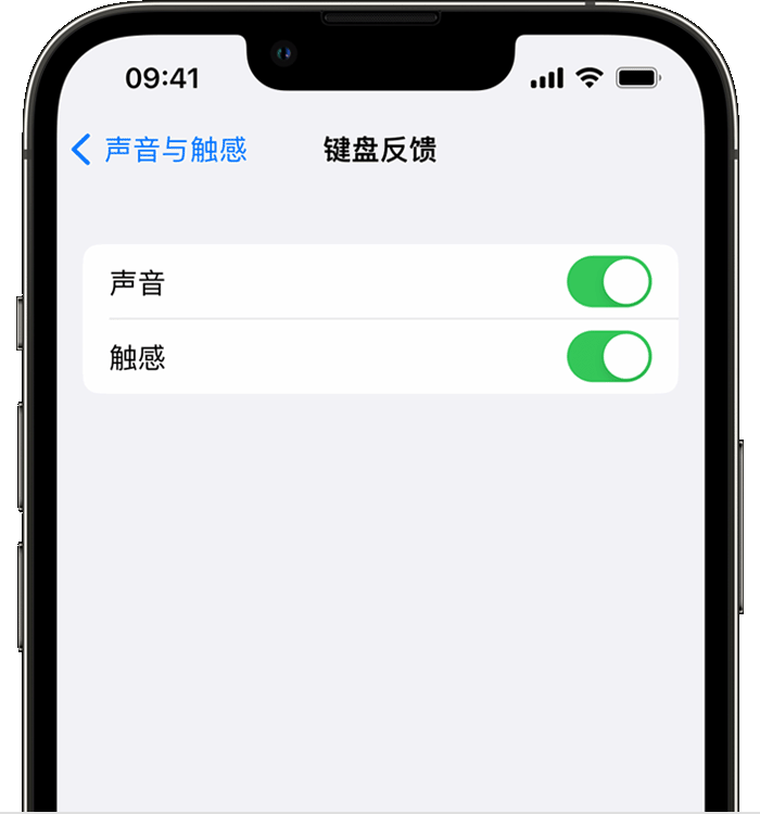 湖州苹果14维修店分享如何在 iPhone 14 机型中使用触感键盘 