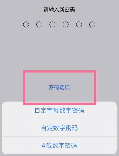 湖州苹果14维修分享iPhone 14plus设置密码的方法 