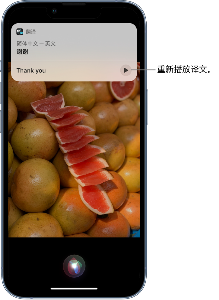 湖州苹果14维修分享 iPhone 14 机型中使用 Siri：了解 Siri 能帮你做什么 