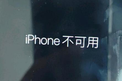 湖州苹果服务网点分享锁屏界面显示“iPhone 不可用”如何解决 