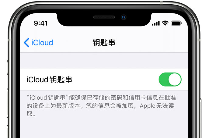 湖州苹果手机维修分享在 iPhone 上开启 iCloud 钥匙串之后会储存哪些信息 