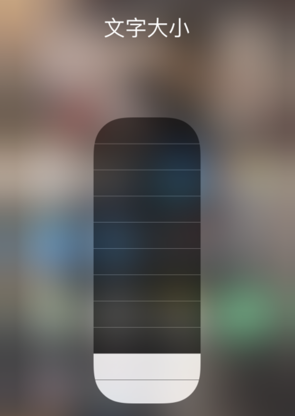湖州苹果手机维修分享小技巧：在 iPhone 控制中心快速调节字体大小 