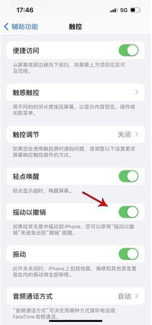 湖州苹果手机维修分享iPhone手机如何设置摇一摇删除文字 