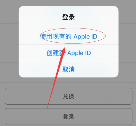 湖州苹果手机维修分享两台iPhone设备可以同时登录一个Apple ID吗 