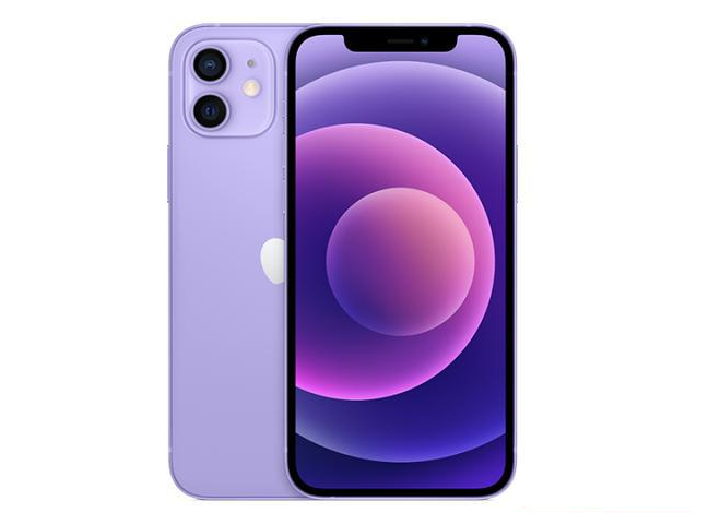 湖州苹果手机维修分享现阶段要不要入手紫色版iPhone12 