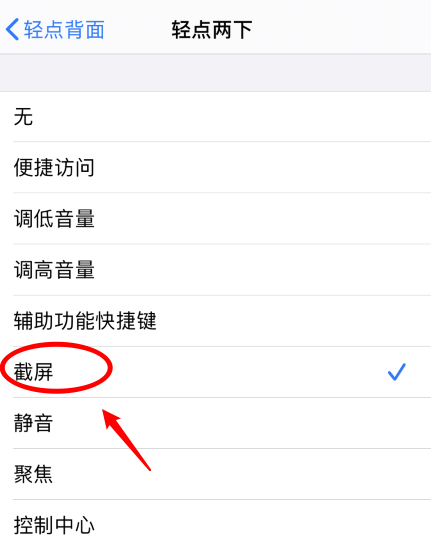 湖州苹果手机维修分享iPhone12如何启用双击截屏 