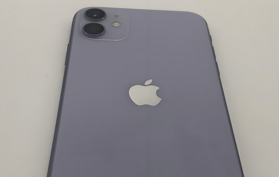 湖州苹果11系统维修分享iPhone11手机系统崩溃无法开机如何解决